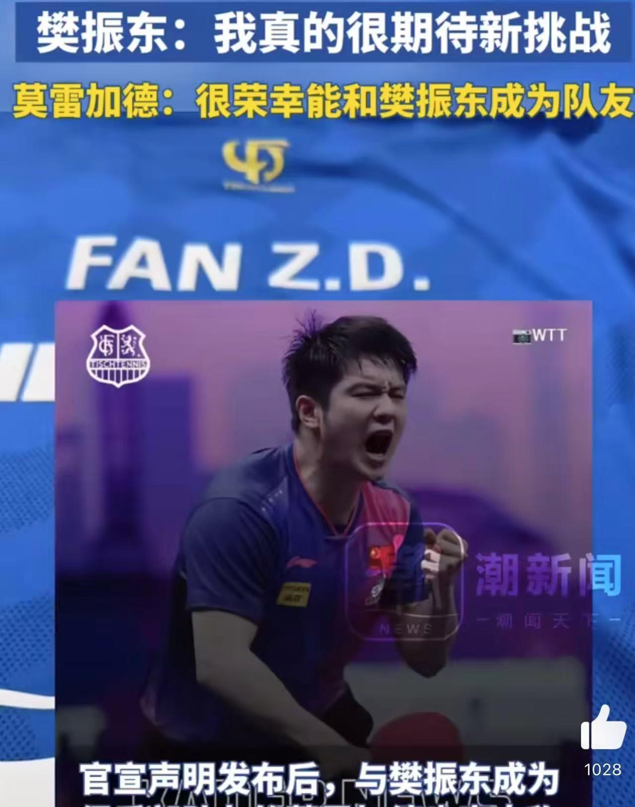 关于韩国乒乓球队强势德国乒乓球队，樊振东制霸全场的信息